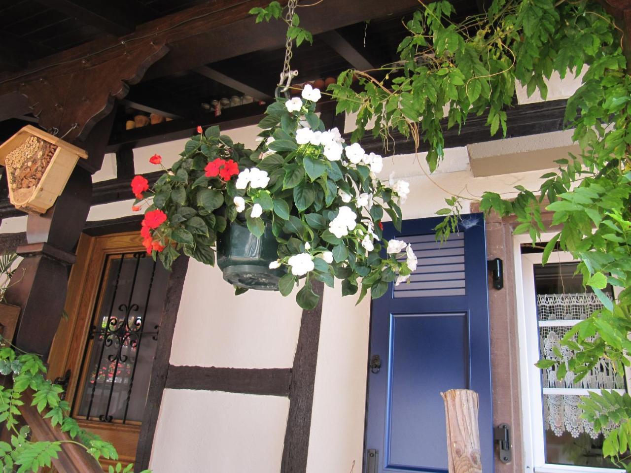 拉费梅德路易斯酒店 Hohengoeft 外观 照片